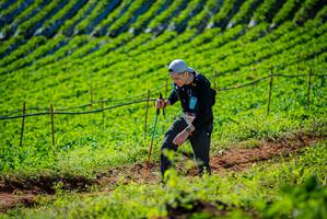 BIB: 
                            <button type="button" onclick="openModal(19161442)" class="btn btn-primary btn-sm float-right btn-popup" data-toggle="modal" data-target=".modal-high-quality">
                        <i class="fas fa-shopping-cart"></i> Add to Cart
                    </button>
                                            <button type="button" onclick="isThisMe(19161442, true)" class="btn btn-success btn-sm float-right btn-popup btn-isme hidden" data-toggle="tooltip" data-placement="bottom" title="นี่คือรูปของคุณใช่ไหม คลิกที่นี่เพื่อเอาเข้าอัลบั้ม">
                        <i class="fas fa-plus"></i> Add to album
                    </button>
                    <button type="button" onclick="isThisMe(19161442, false)" class="btn btn-warning btn-sm float-right btn-popup btn-isnotme hidden">
                        <i class="fas fa-ban"></i> Remove from album
                    </button>